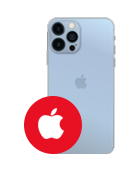 Etui na telefon APPLE